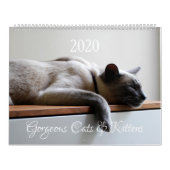 HAMbyWG - 2020 Großartige Katzen Kalender (Titelbild)