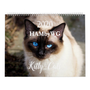 HAMbyWG 2020 Kätzchen-Kalender Kalender