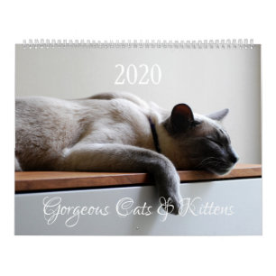 HAMbyWG - 2020 Wunderschöne Katzen Kalender