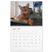 HAMbyWG - 2020 Wunderschöne Katzen Kalender (Mär 2027)