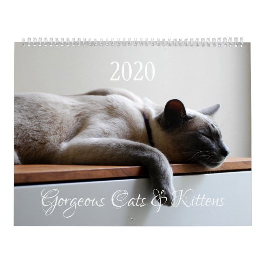 HAMbyWG - 2020 Wunderschöne Katzen Kalender (Titelbild)