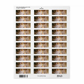 HAMbyWG - Address Labels - Veteran (Vorne)