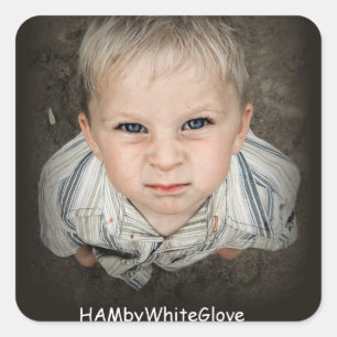 HAMbyWG- Aufkleber - SCHINKEN Chef