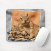 HAMbyWG - Berühmtes Eichhörnchen - Mauspad (Mit Mouse)