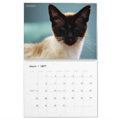 HAMbyWG - Bohemische Katzen Kalender (Mär 2027)