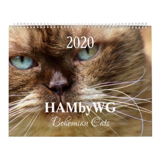 HAMbyWG - Bohemische Katzen Kalender (Titelbild)