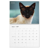 HAMbyWG - Bohemische Katzen Kalender (Mär 2027)