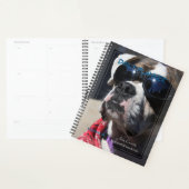 HAMbyWG - Daily Planner - Celebrity Dog Planer (Anzeige)