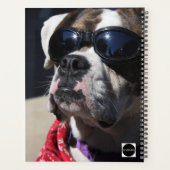 HAMbyWG - Daily Planner - Celebrity Dog Planer (Rückseite)