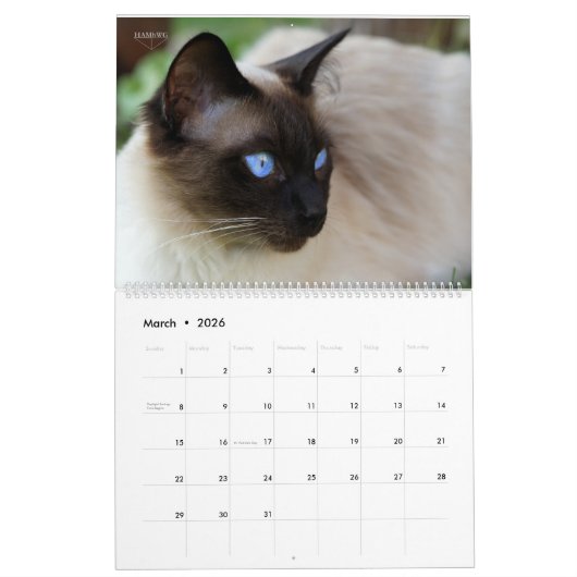 HAMbyWG - Großartige Katzen Kalender (Mär 2026)