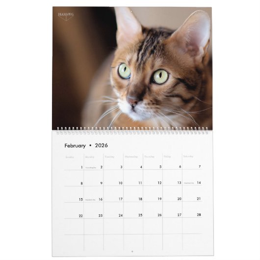 HAMbyWG - Großartige Katzen Kalender (Feb 2026)
