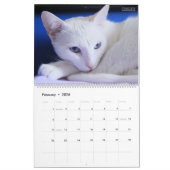HAMbyWG - Großartige Katzen Kalender (Feb 2026)