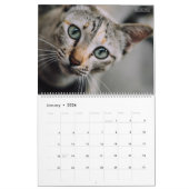 HAMbyWG - Großartige Katzen Kalender (Jan 2026)