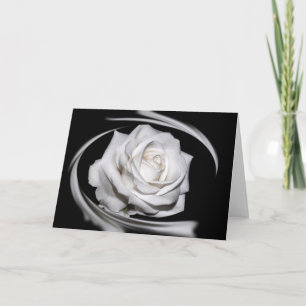 HAMbyWG - Grußkarte - Schöne weiße Rose Karte