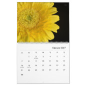 HAMbyWG - Herrliche Blume Kalender (Feb 2027)