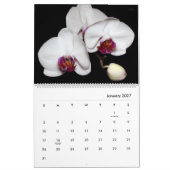 HAMbyWG - Herrliche Blume Kalender (Jan 2027)