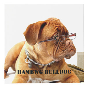 HAMbyWG Ihr eigenes 4" Foto würfeln Würfel