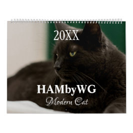 HAMbyWG Kalender der Neuen Katzen
