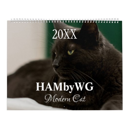 HAMbyWG Kalender der Neuen Katzen (Titelbild)