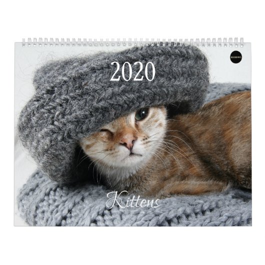 HAMbyWG Kitten Kalender (Titelbild)