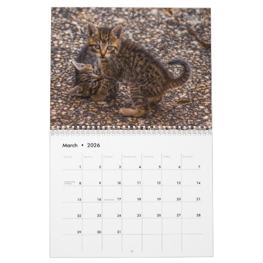 HAMbyWG Kitten Kalender (Mär 2026)