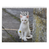 HAMbyWG Kitten Kalender (Titelbild)