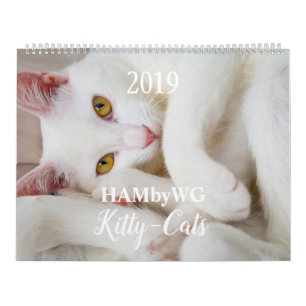 HAMbyWG Kitty-Cats-Kalender Kalender