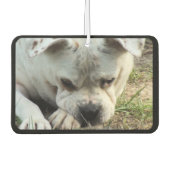 HAMbyWG - Modern 4-Shade-Monogramm-Foto Autolufterfrischer (Vorderseite)