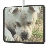 HAMbyWG - Modern 4-Shade-Monogramm-Foto Autolufterfrischer (Links)