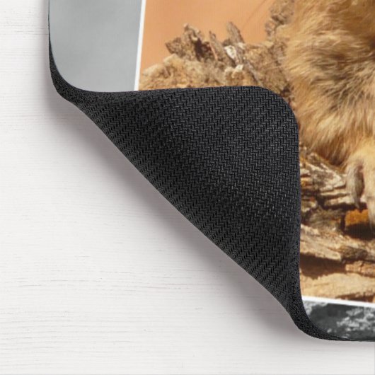 HAMbyWG - Mouse Pad - Berühmtes Eichhörnchen Mousepad (Ecke)