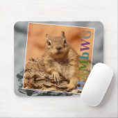 HAMbyWG - Mouse Pad - Berühmtes Eichhörnchen Mousepad (Mit Mouse)