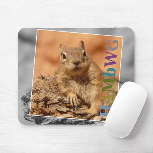 HAMbyWG - Mouse Pad - Berühmtes Eichhörnchen Mousepad (Mit Mouse)