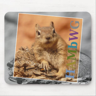 HAMbyWG - Mouse Pad - Berühmtes Eichhörnchen Mousepad