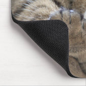 HAMbyWG - Mouse Pad - Cuddling Kitten Mousepad (Ecke)