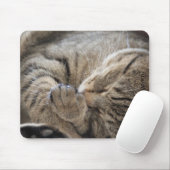 HAMbyWG - Mouse Pad - Cuddling Kitten Mousepad (Mit Mouse)