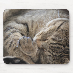 HAMbyWG - Mouse Pad - Cuddling Kitten Mousepad