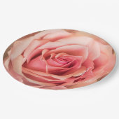 HAMbyWG - Papierplatte 7 oder 9" - Rose Peach Pappteller (Schrägansicht)