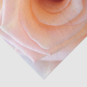 HAMbyWG - Peach-Rose Seidenpapier (Ausschnitt)