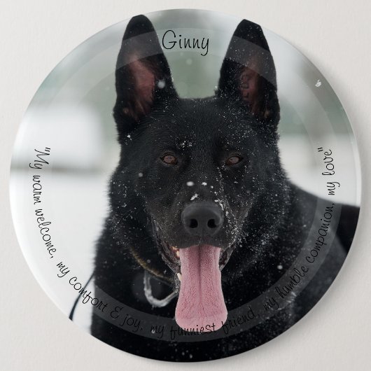 HAMbyWG Pet Loise Button (Vorderseite)