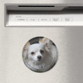 HAMbyWG Pet Magnet (In Situ (Geschirrspüler))