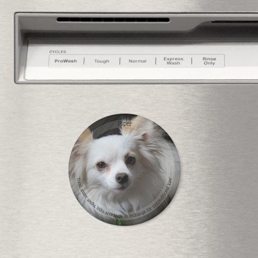 HAMbyWG Pet Magnet (In Situ (Geschirrspüler))