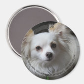 HAMbyWG Pet Magnet (Vorderseite/Rückseite)