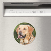 HAMbyWG Pet Magnet (In Situ (Geschirrspüler))