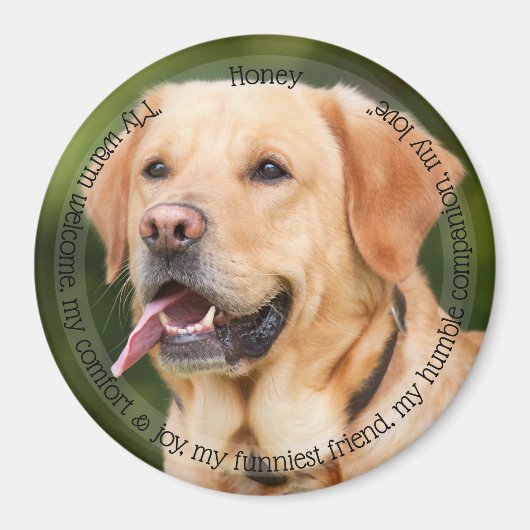 HAMbyWG Pet Magnet (Vorne)