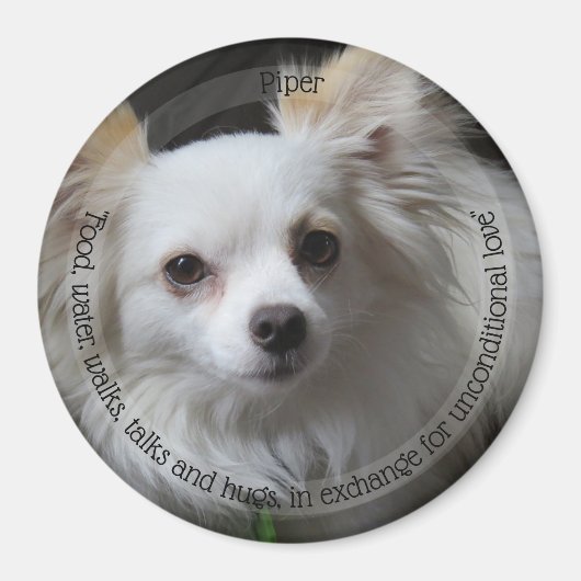 HAMbyWG Pet Magnet (Vorne)