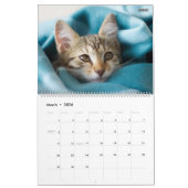 HAMbyWG- Portrait eines Kitten Kalender (Mär 2026)