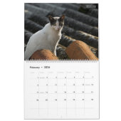 HAMbyWG - Rustikale Katzen & Kätzchen 2 Kalender (Feb 2026)