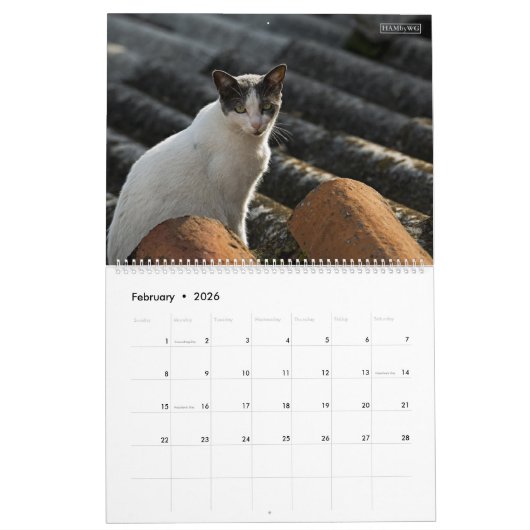 HAMbyWG - Rustikale Katzen & Kätzchen 2 Kalender (Feb 2026)