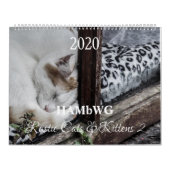HAMbyWG - Rustikale Katzen & Kätzchen 2 Kalender (Titelbild)