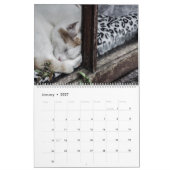 HAMbyWG - Rustikale Katzen & Kätzchen 2 Kalender (Jan 2027)